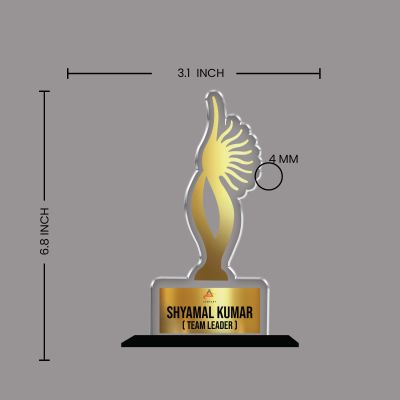 Personalized Corporate Recognition Award  Custom Acrylic Trophy with Name and Designation, Unique Gift for Team Leaders, Managers, Corporate Appreciation and Employees